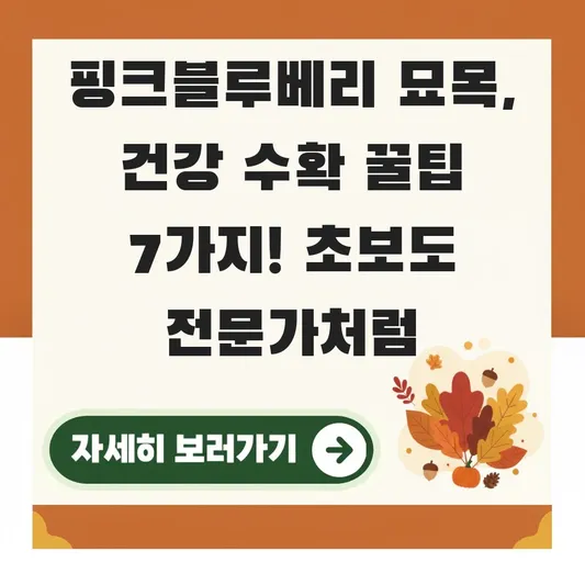 핑크블루베리 묘목 건강하게 수확하는 꿀팁