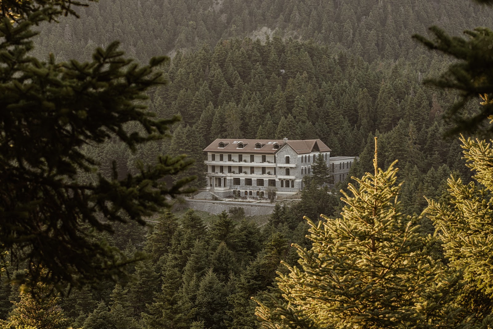 Manna Arcadia