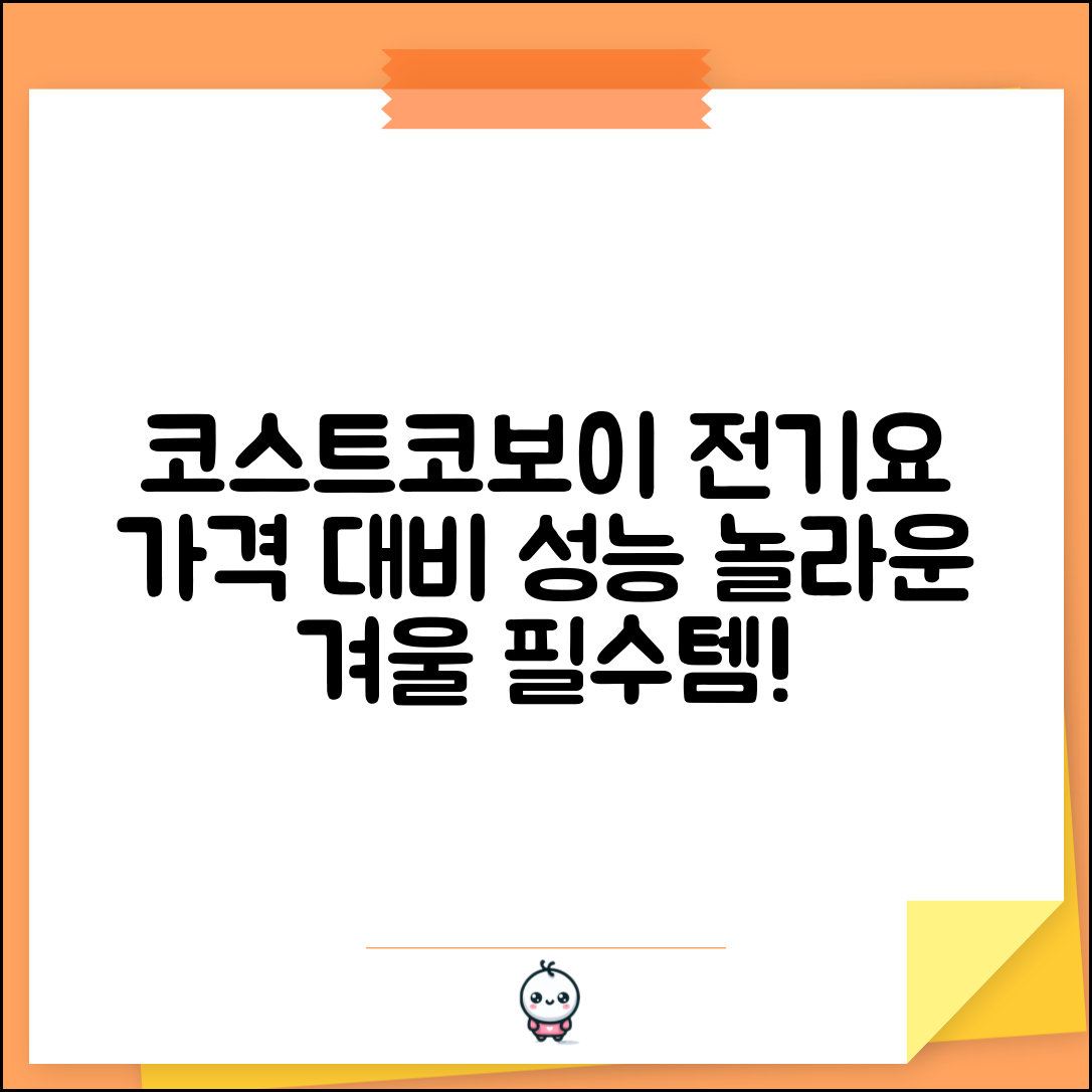 “코스트코보이로전기요, 가격 대비 성능이 놀라워요!”