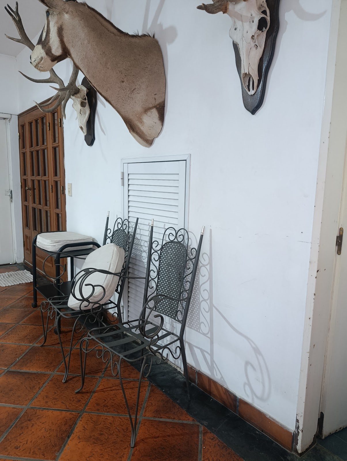 Foto 5