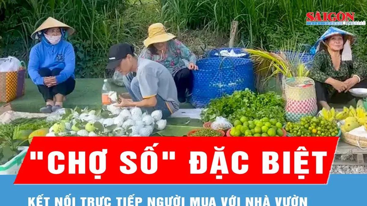 Đồng Tháp hỗ trợ nông dân đưa nông sản vào 'chợ số' - Báo Sài Gòn Giải Phóng