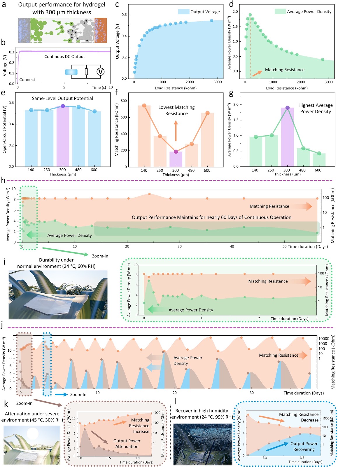 A Multifunctional Hydrogel with Multimodal Self-Powered Sensing Capability and Stable Direct Current Output for Outdoor Plant Monitoring Systems
