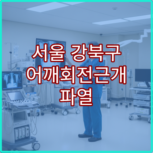 서울 강북구 어깨회전근개 파열 정형외과 관절경수술 병원