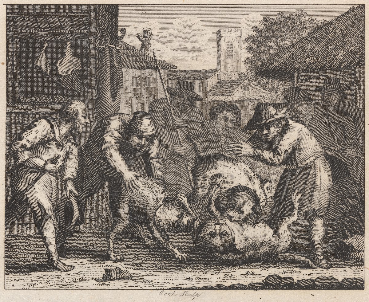 Fable XXXIV The Mastiffs 1793