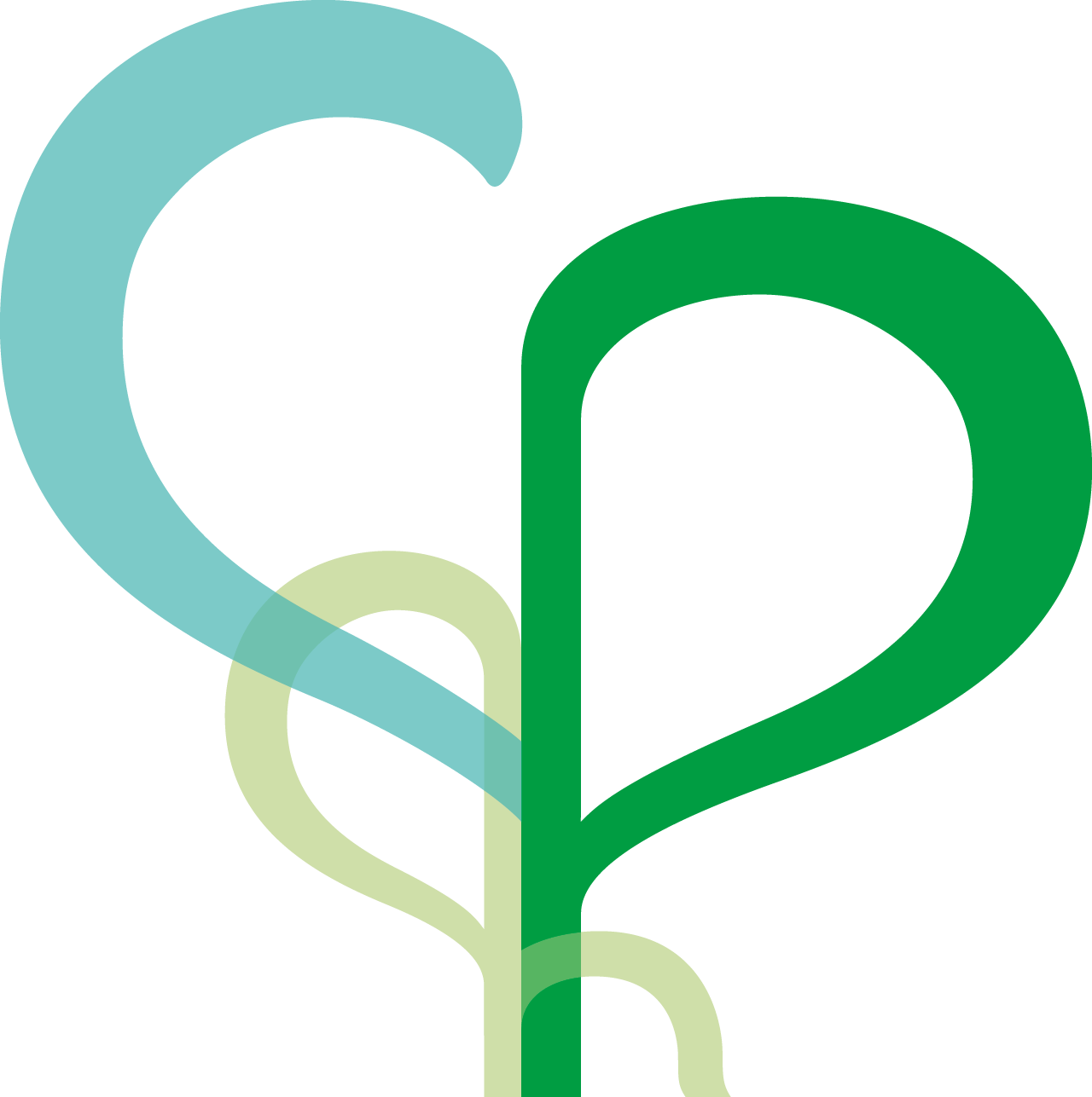 PCPH Medical Practice