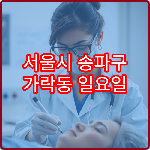 서울시 송파구 가락동 일요일 내과 진료 병원 휴일 진료