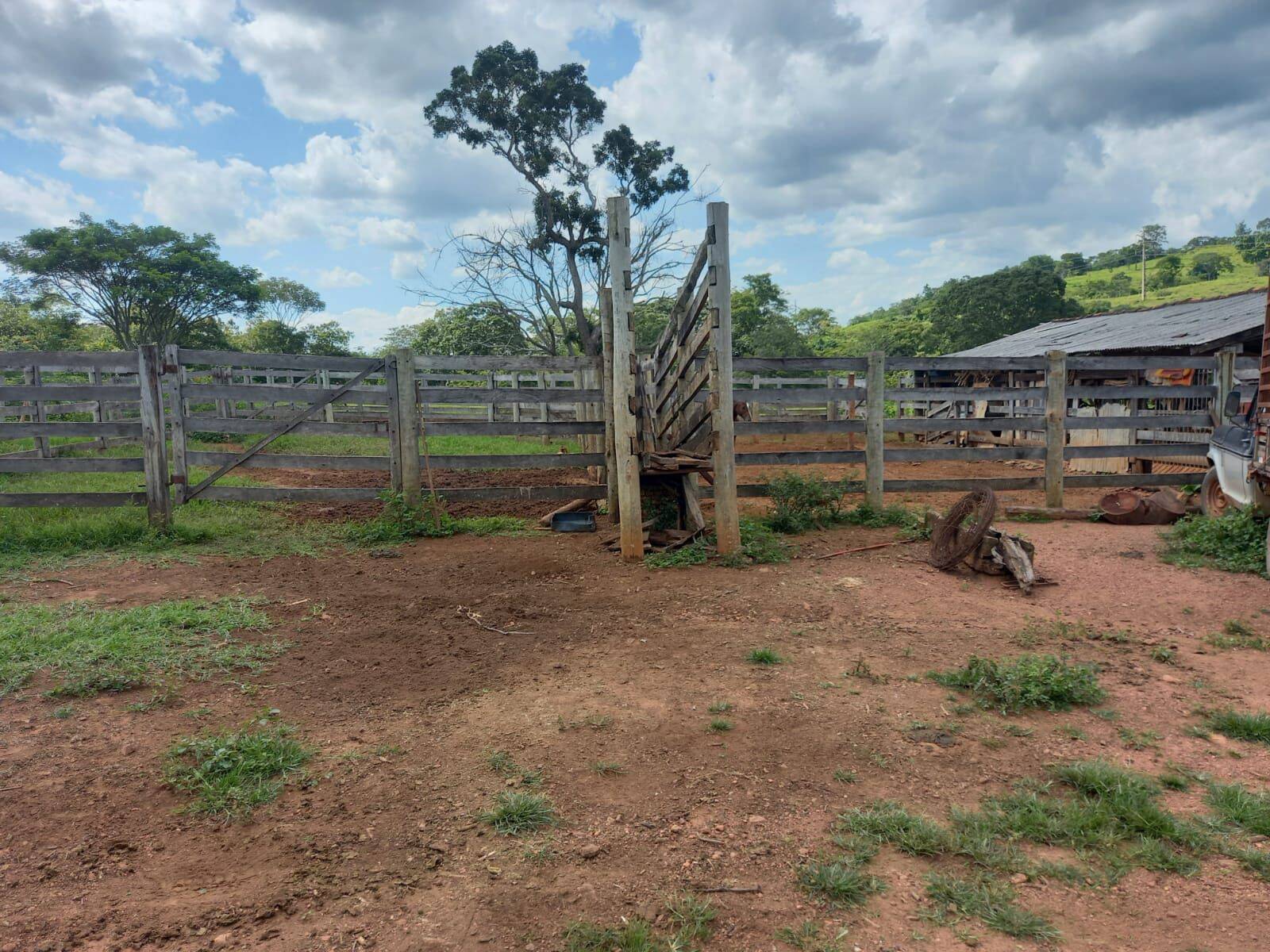 Fazenda em São Miguel do Passa Quatro-GO 7
