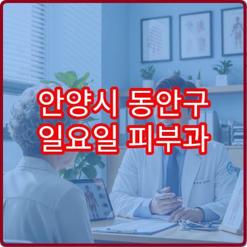 안양시 동안구 일요일 피부과 진료 병원 두드러기·가려움 상담 가능