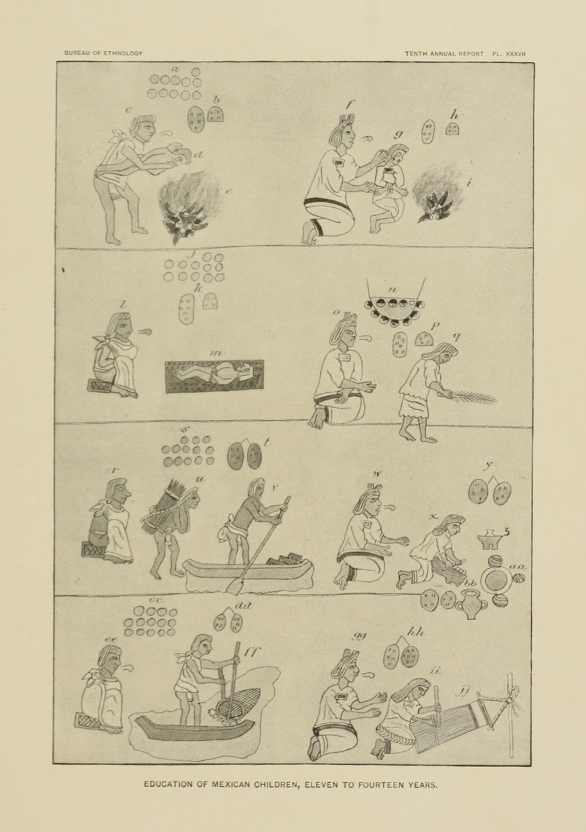 Education of Mexican Children Eleven to Fourteen years 1894
