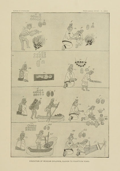 Education of Mexican Children Eleven to Fourteen years 1894