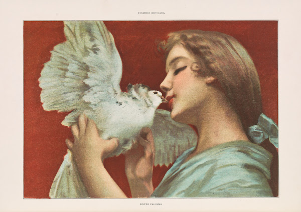Album salon Pl27 1903