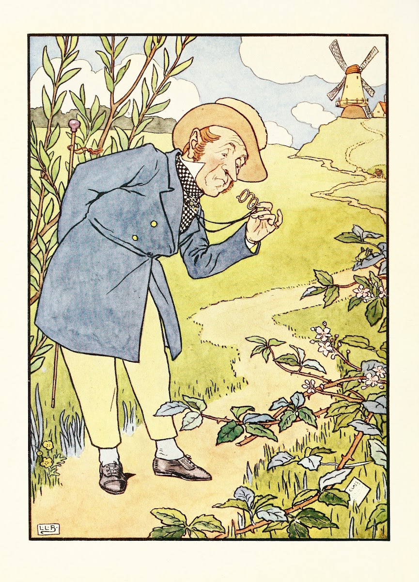 The jumblies and other nonsense verses Pl7 1910
