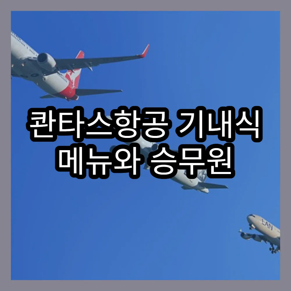 콴타스항공 기내식 메뉴와 승무원 친절도 후기