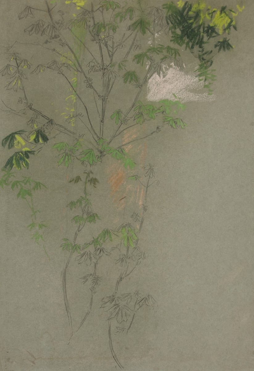Sketch of leafing treebranches