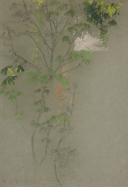 Sketch of leafing treebranches