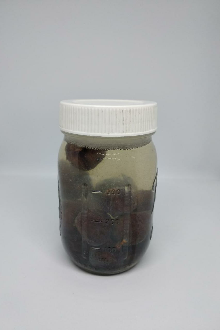 Lerak Soap in jar. Lerak natural detergent, Lerak traditional detergent, Traditional detergent to wash batik clothes. CarbonEthics Indonesia