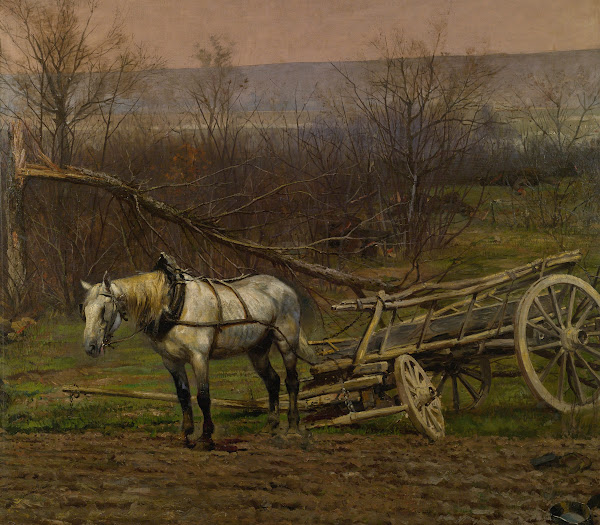 Charrette Attelée Dun Cheval Blanc