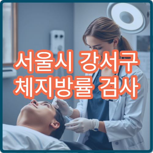 서울시 강서구 체지방률 검사 맞춤 다이어트 프로그램 운영 병원