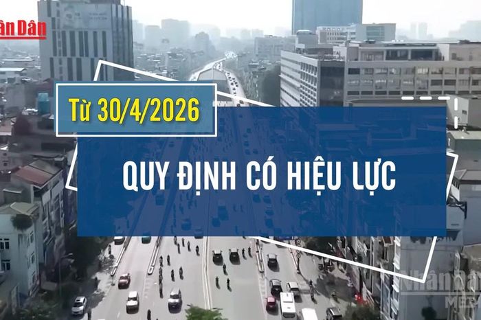 [Video] Xe bán tải, xe hợp đồng dưới 29 chỗ ngồi được lưu thông không hạn chế trong nội đô Hà Nội - Báo Nhân Dân