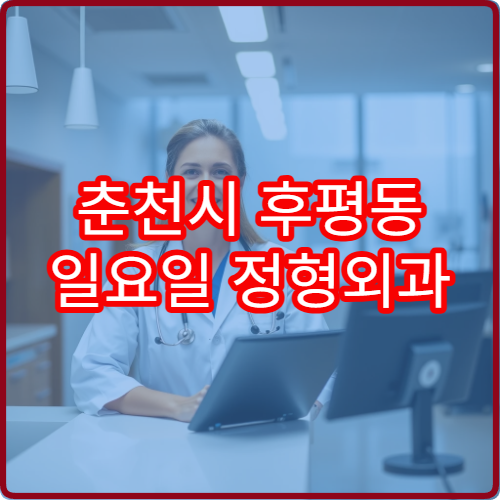 춘천시 후평동 일요일 정형외과 주말 진료 병원
