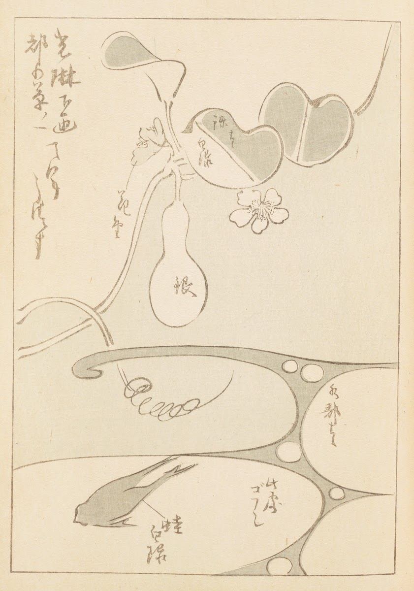 Shin Bijutsukai Pl062 1901 1902