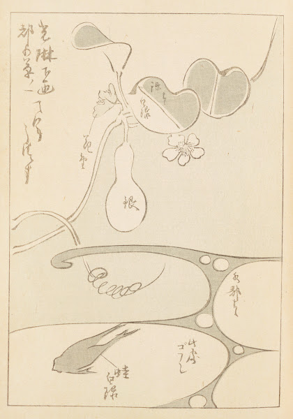 Shin Bijutsukai Pl062 1901 1902