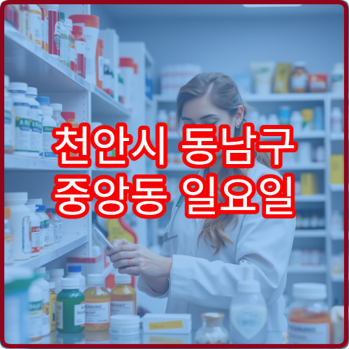 천안시 동남구 중앙동 일요일 영업 당번 약국 운영시간 정리