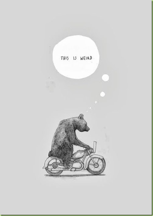 bear motorcycle weird