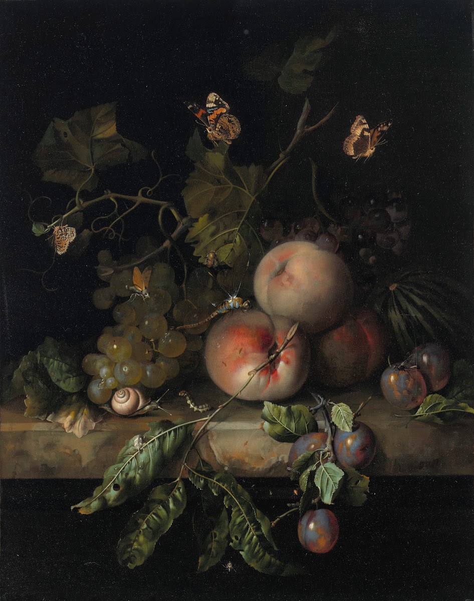 Peaches grapes and plums with a dragonfly snail caterpillar butterfly and other