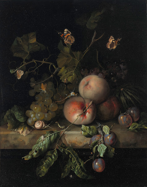 Peaches grapes and plums with a dragonfly snail caterpillar butterfly and other