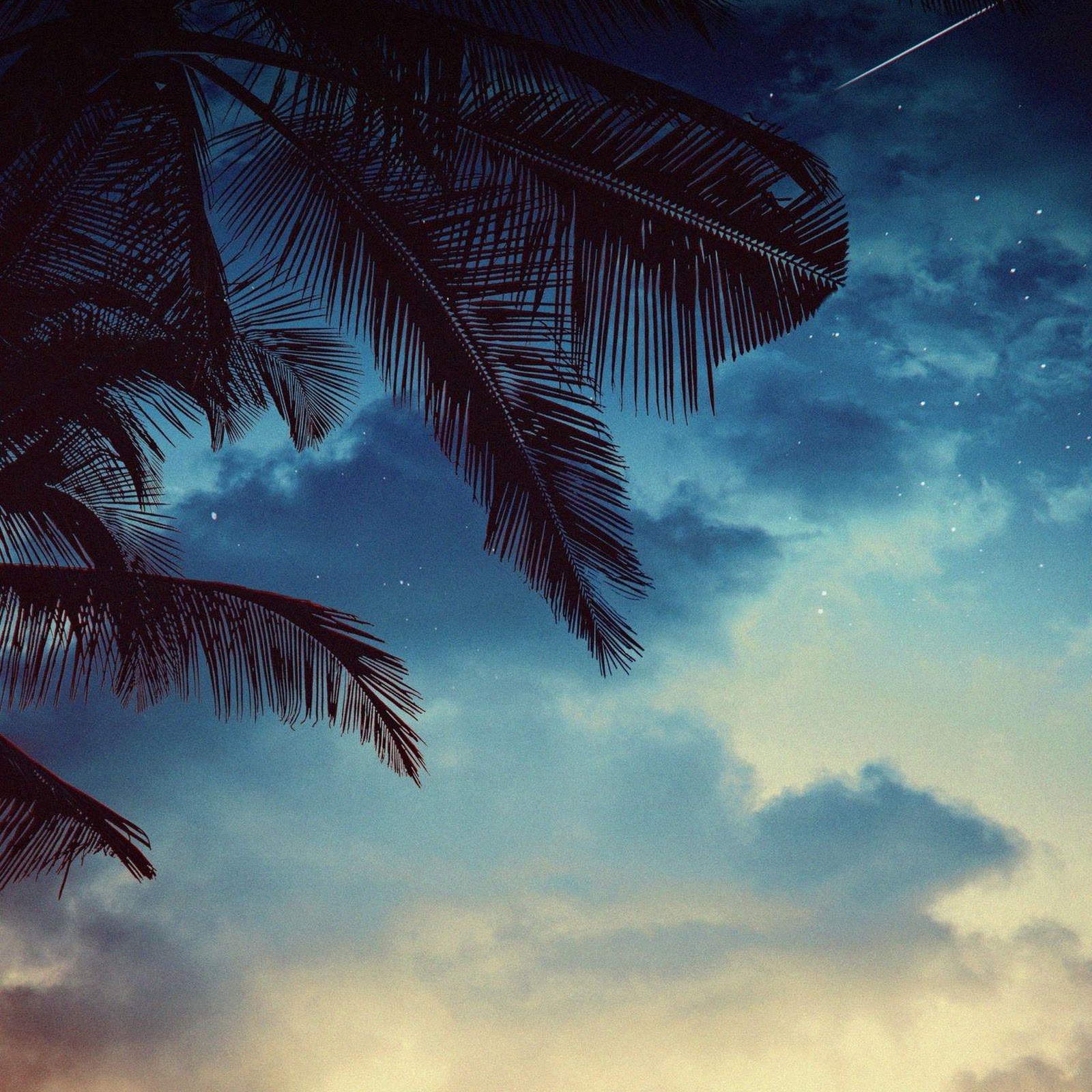 Download Airplane Takeoff Under Twilight Palms Full HD iPhone