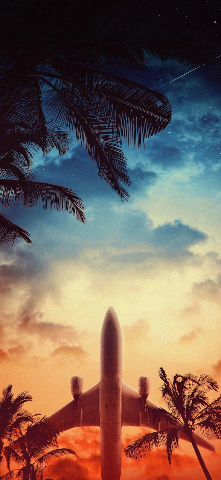 Airplane Takeoff Under Twilight Palms - Dramatic Digital Art Full HD iPhone Wallpaper (1407x3045)