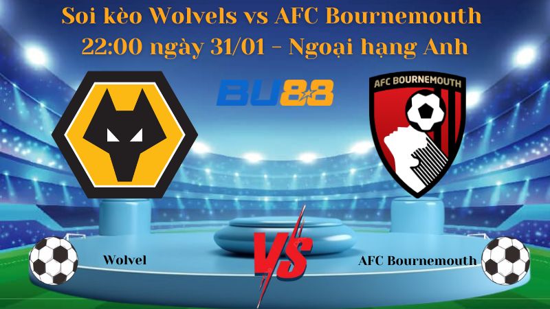 Soi kèo Wolvels vs AFC Bournemouth 22:00 ngày 31/01