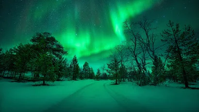 Aurorae, Nature, Road, Winter, Snow 4K Wallpaper Background