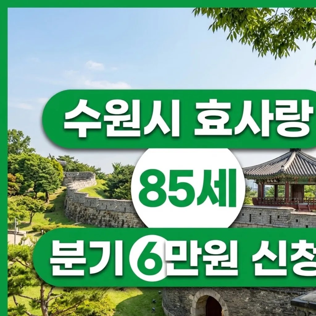 수원시 효사랑 지원금 85세 이상, 분기 6만원 신청