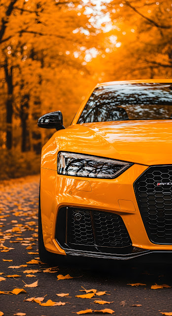 Vibrant Orange Sports Car in Autumn Forest Setting - Free mobile Wallpaper