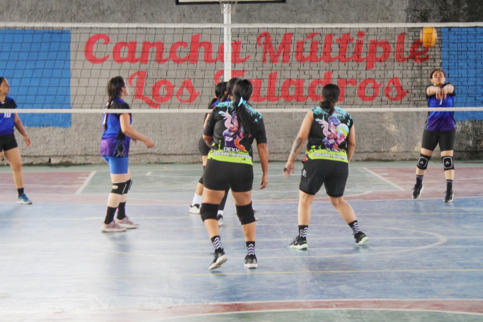 Imagen 5