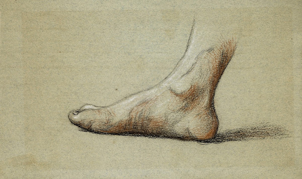 Etude anatomique Pied droit à plat profil gauche