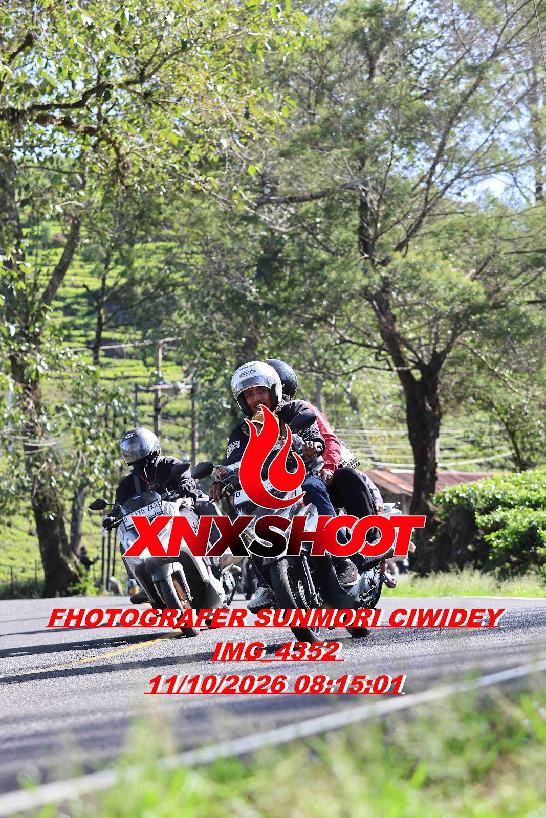 IMG_4352_result.jpg
