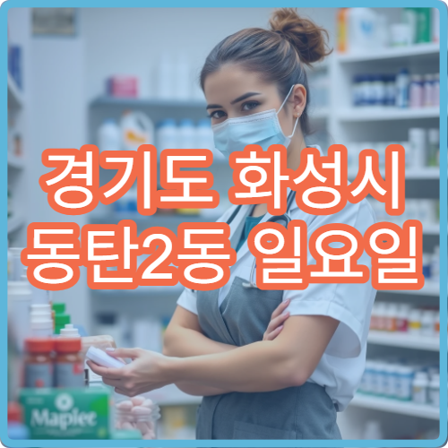경기도 화성시 동탄2동 일요일 내과 진료 병원 안내 주말 문 여는 내과 찾기