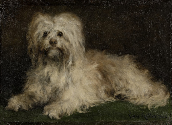 Pinscher Puss 1863