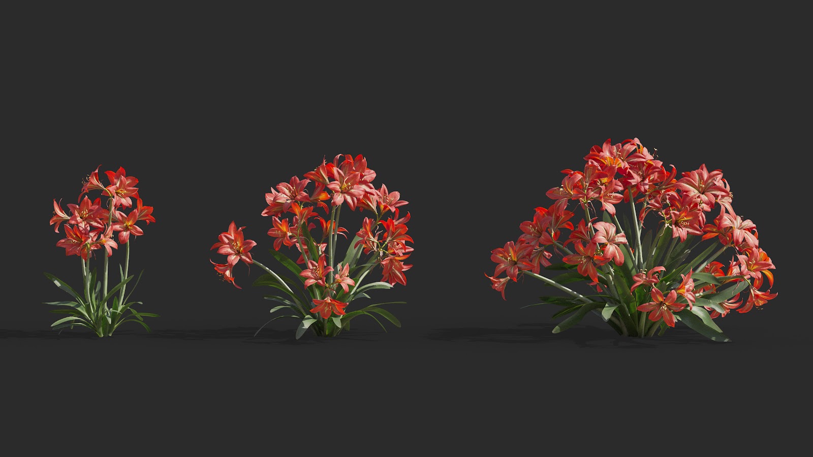 Maxtree - Plant Models Vol.64