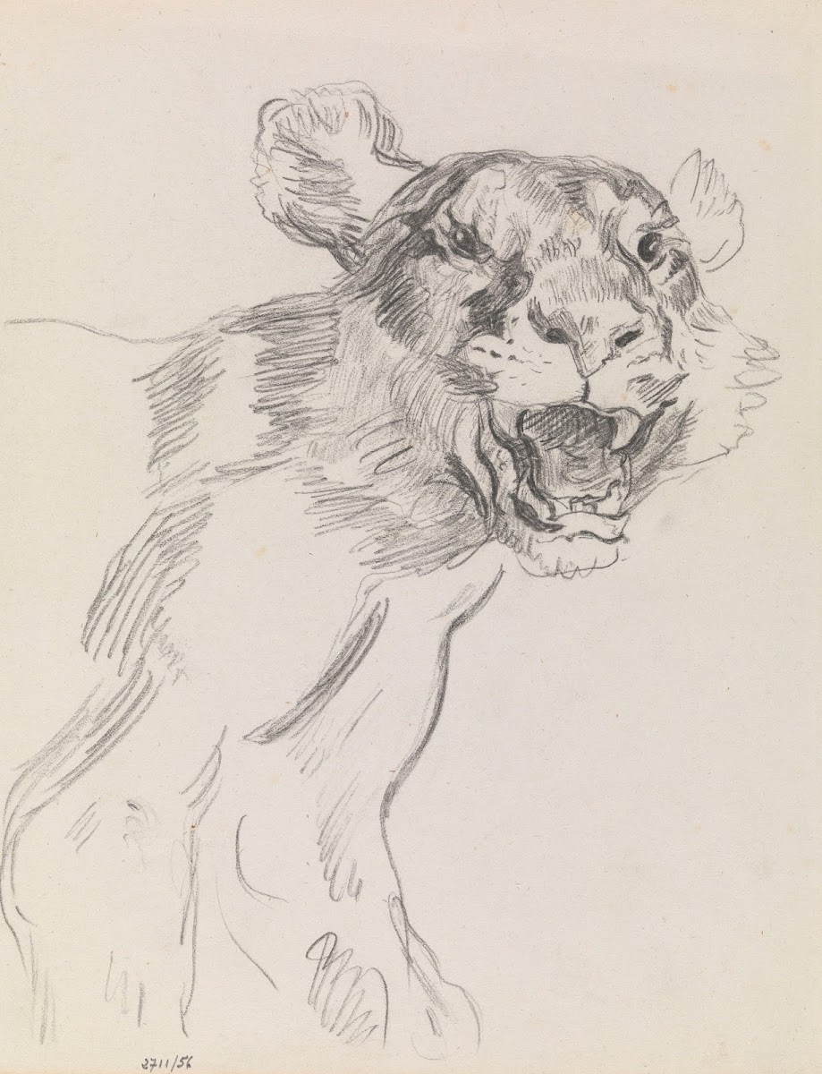 Study of a Wild Animal