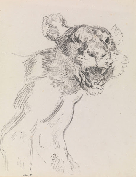 Study of a Wild Animal