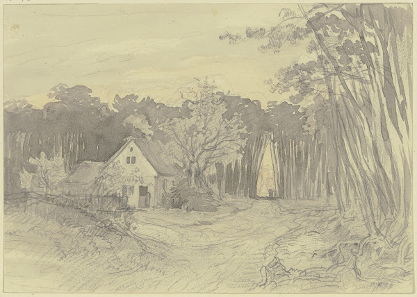Haus auf einer Waldlichtung