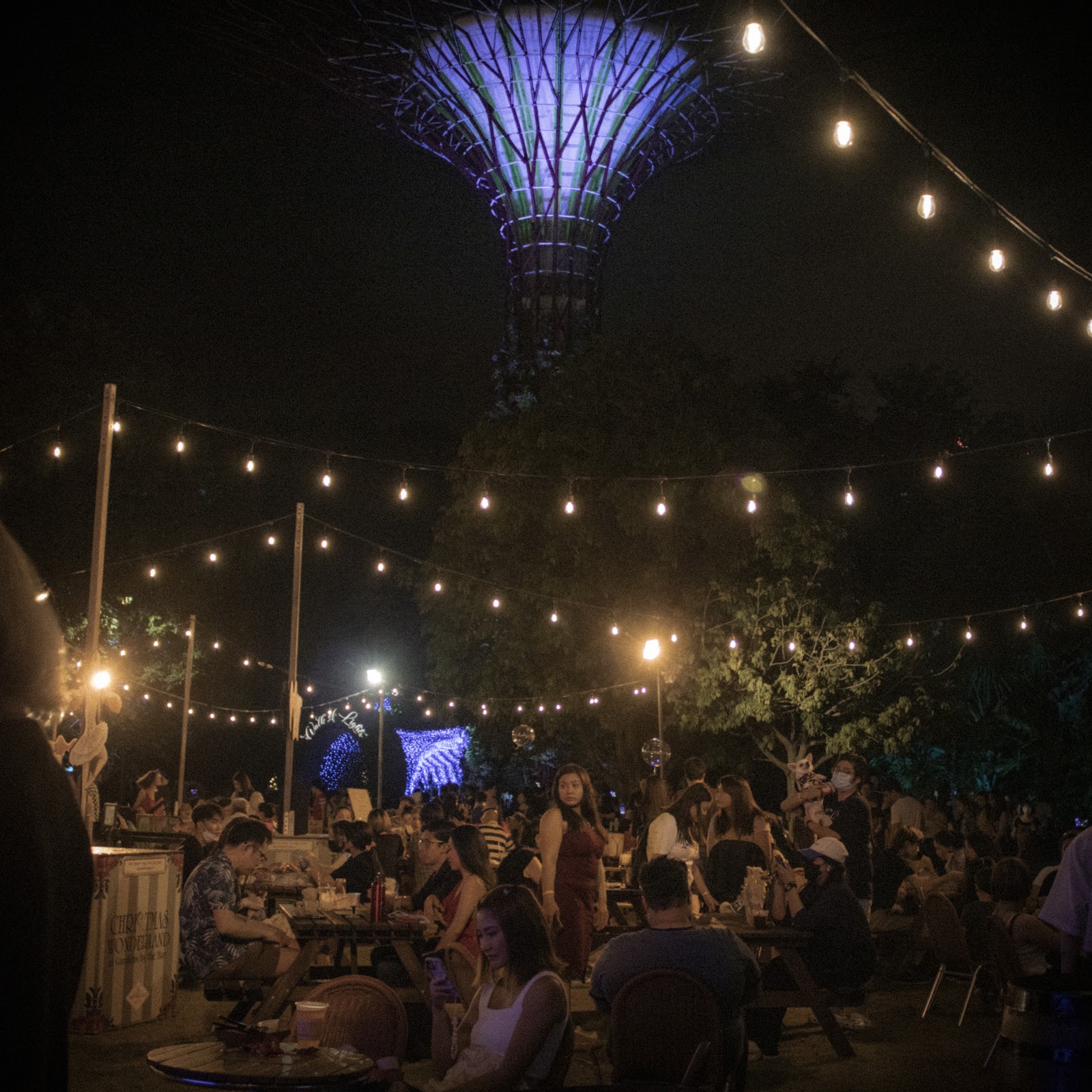 Night Flower