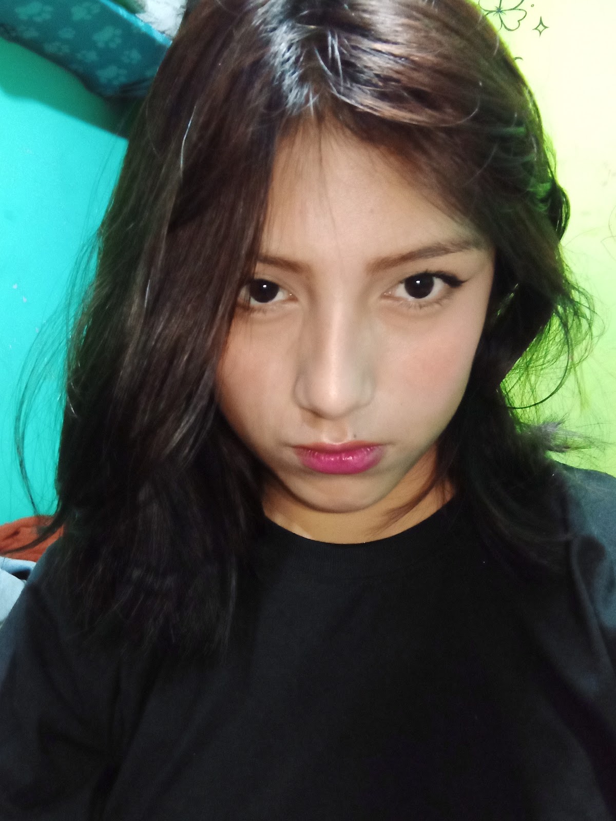 Ashley Viviana Endara Chicaiza