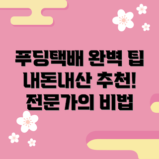푸딩택배 내돈내산, 검증된 팁, 초보자를 위한, 최신 정보, 전문가 추천