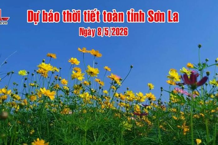 Dự báo thời tiết toàn tỉnh Sơn La ngày 8/5/2026 - Báo Sơn La