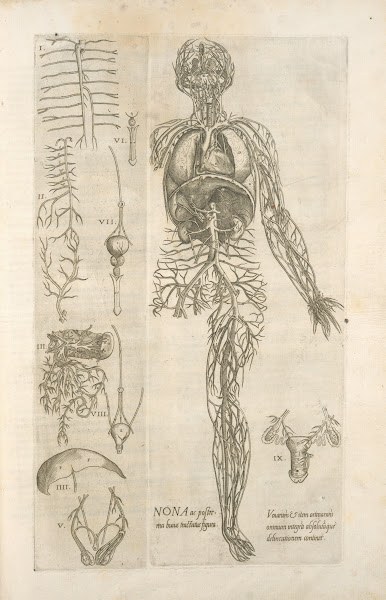 Nona ac postrema huius tractatus figura 1545